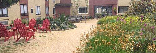 Flowers in the courtyard at Hotel Focus SFO.